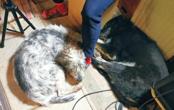 Geschichten von Hannes und Lula Geschichten von Hannes und Lula