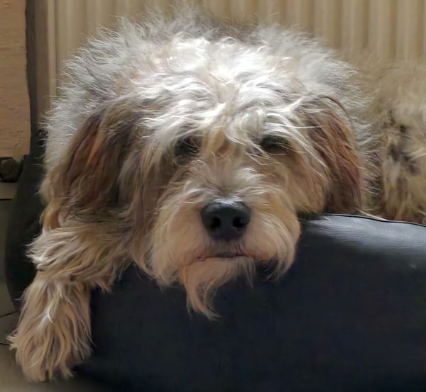 Hannes und Lula Hannes und Lula