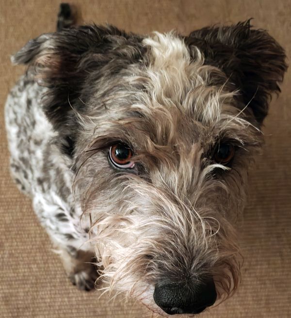 Hannes und Lula Hannes und Lula