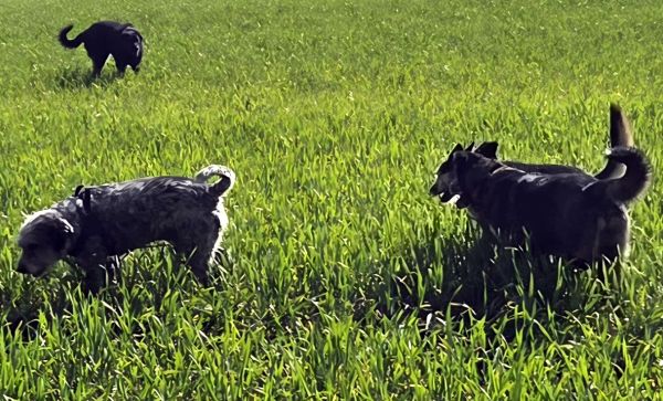 Hannes und Lula Hannes und Lula