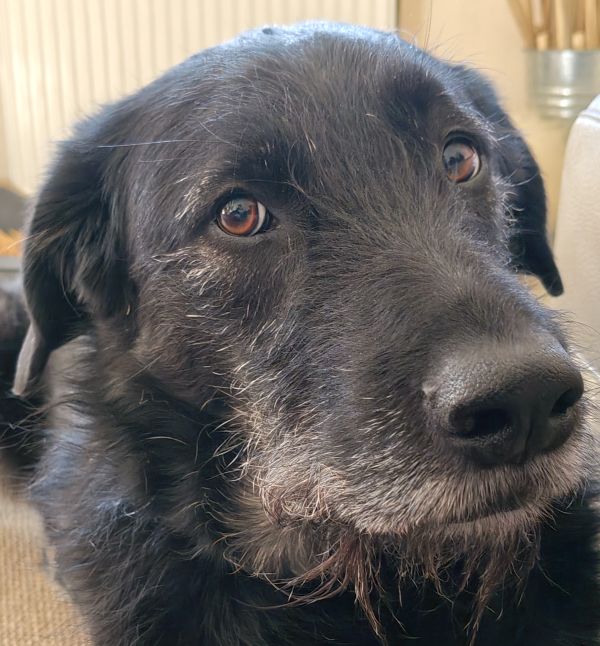 Hannes und Lula Hannes und Lula