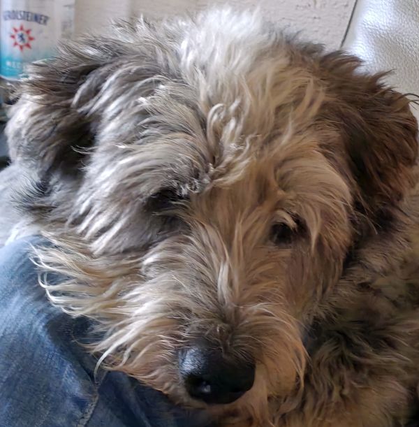 Hannes und Lula Hannes und Lula