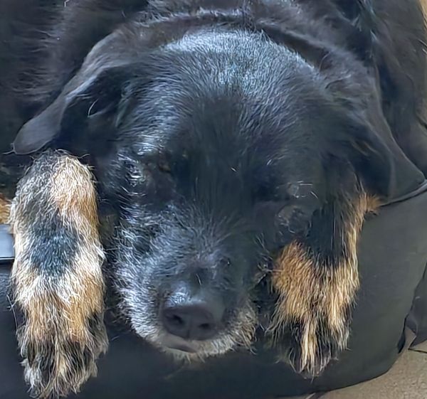 Hannes und Lula Hannes und Lula