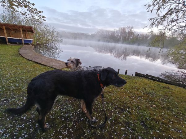 Hannes und Lula Hannes und Lula