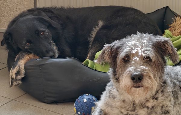 Hannes und Lula Hannes und Lula