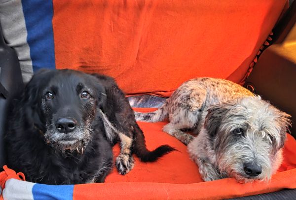 Hannes und Lula Hannes und Lula
