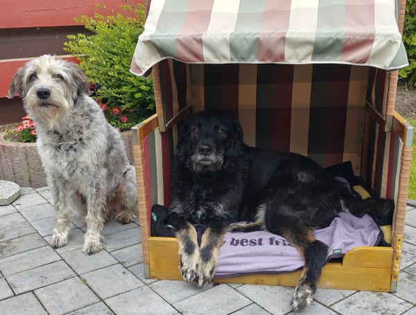 Hannes und Lula Hannes und Lula