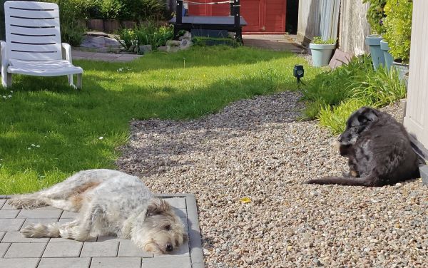 Hannes und Lula Hannes und Lula