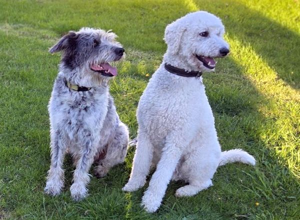 Hannes und Lula Hannes und Lula