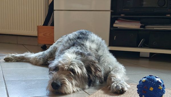 Hannes und Lula Hannes und Lula