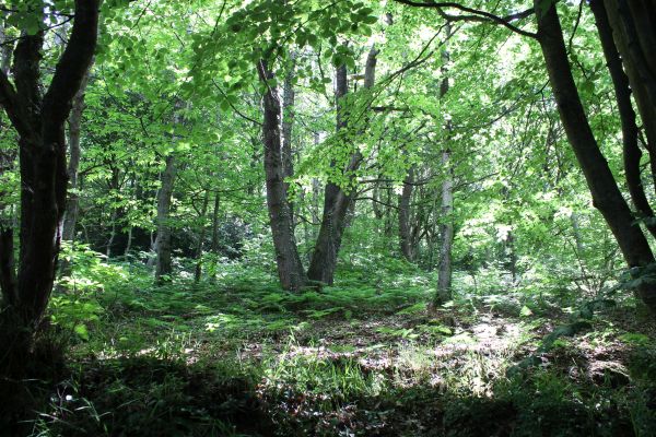 Impressionen - Die Bretagne
