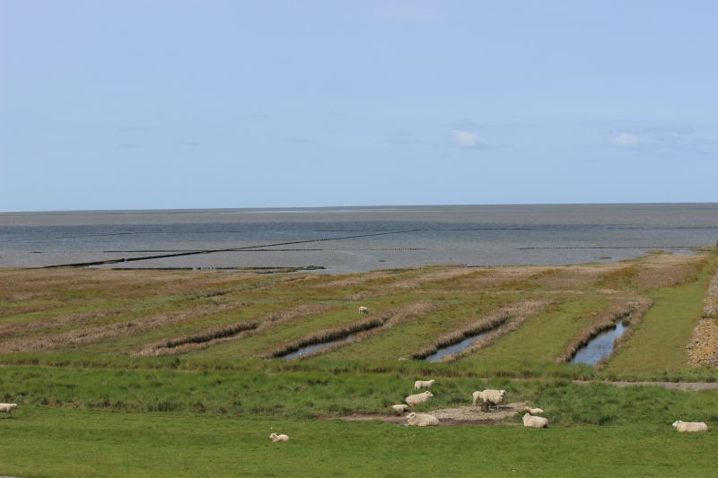Auf dem Deich am Eider-Sperrwerk - unsortiert und nicht kommentiert