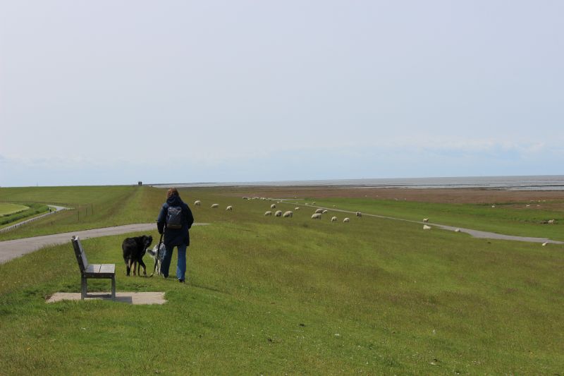 Auf dem Deich am Eider-Sperrwerk - unsortiert und nicht kommentiert