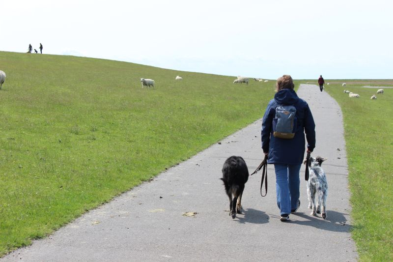 Auf dem Deich am Eider-Sperrwerk - unsortiert und nicht kommentiert