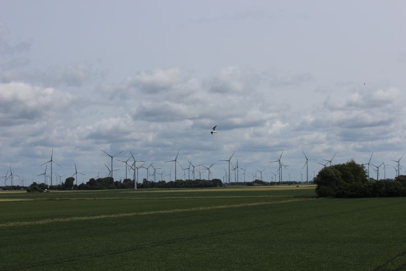 Auf dem Deich am Eider-Sperrwerk - unsortiert und nicht kommentiert