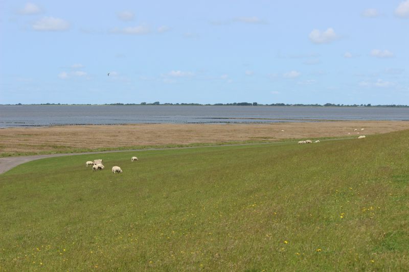 Auf dem Deich am Eider-Sperrwerk - unsortiert und nicht kommentiert