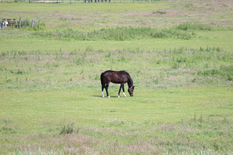 Auf dem Deich am Eider-Sperrwerk - unsortiert und nicht kommentiert