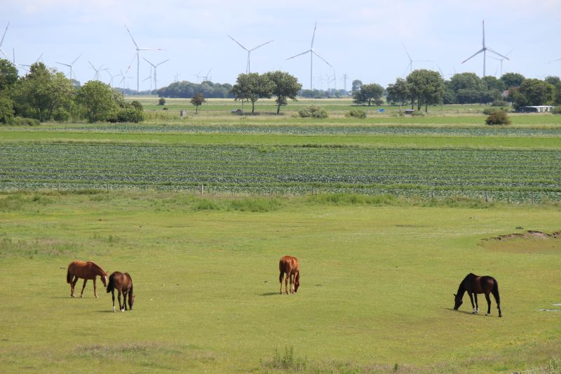 Auf dem Deich am Eider-Sperrwerk - unsortiert und nicht kommentiert