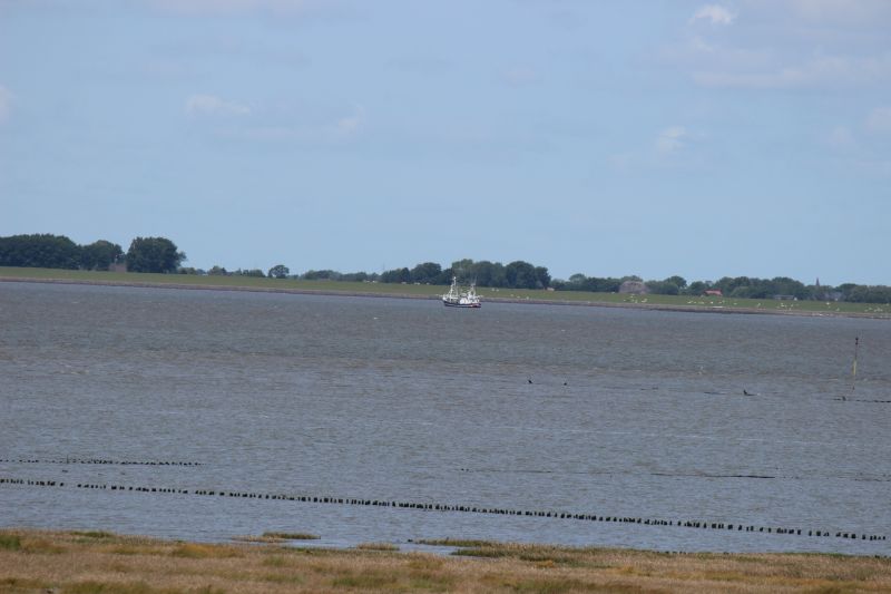 Auf dem Deich am Eider-Sperrwerk - unsortiert und nicht kommentiert