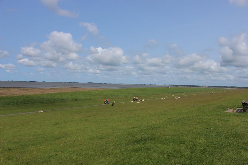 Auf dem Deich am Eider-Sperrwerk - unsortiert und nicht kommentiert