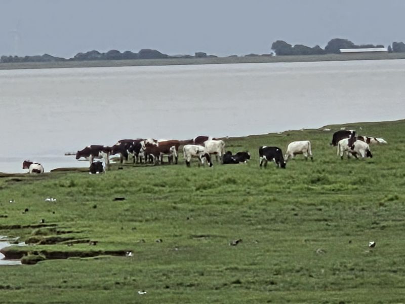 Bildersammlung T&ouml;nning 2025 - unsortiert und nicht kommentiert