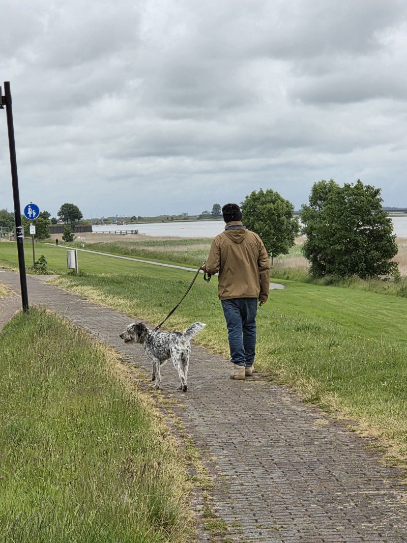 Bildersammlung T&ouml;nning 2025 - unsortiert und nicht kommentiert