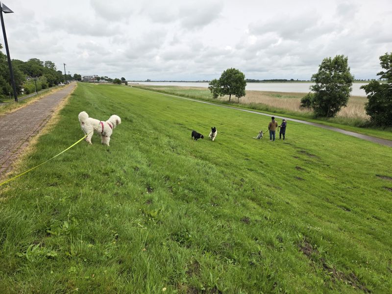 Bildersammlung T&ouml;nning 2025 - unsortiert und nicht kommentiert