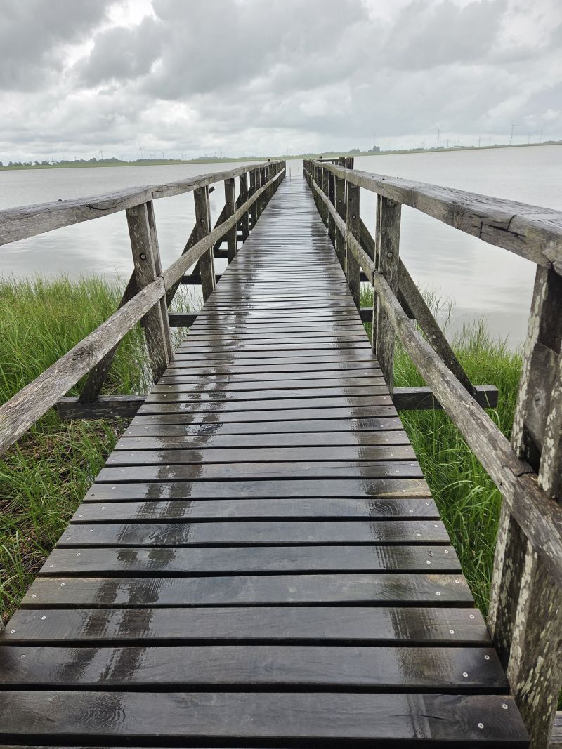 Bildersammlung T&ouml;nning 2025 - unsortiert und nicht kommentiert