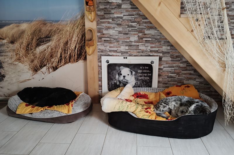 Bildersammlung T&ouml;nning 2025 - unsortiert und nicht kommentiert