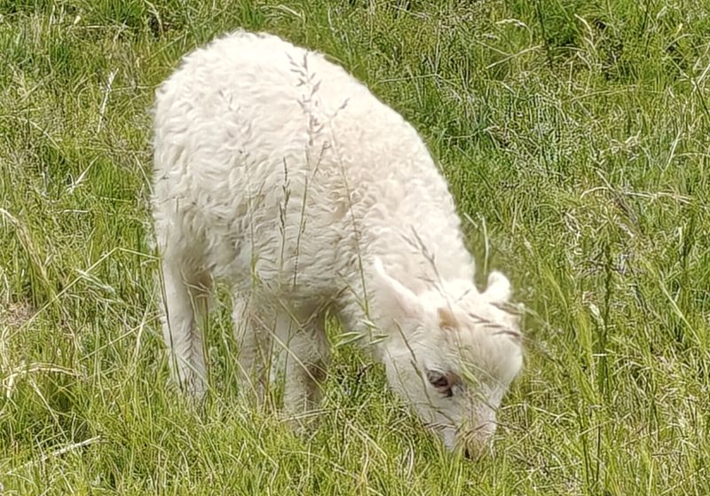 Bildersammlung T&ouml;nning 2025 - unsortiert und nicht kommentiert