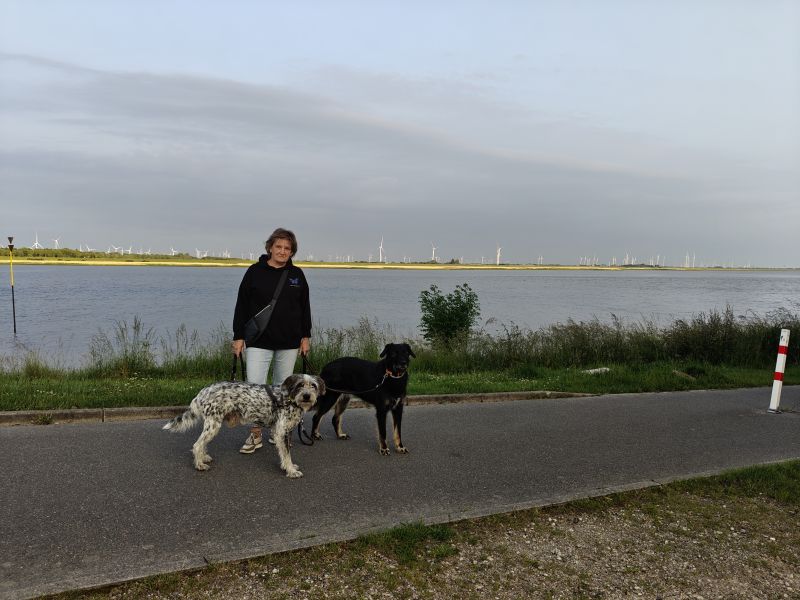 Bildersammlung T&ouml;nning 2025 - unsortiert und nicht kommentiert