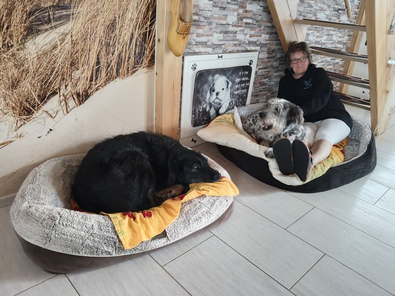 Bildersammlung T&ouml;nning 2025 - unsortiert und nicht kommentiert