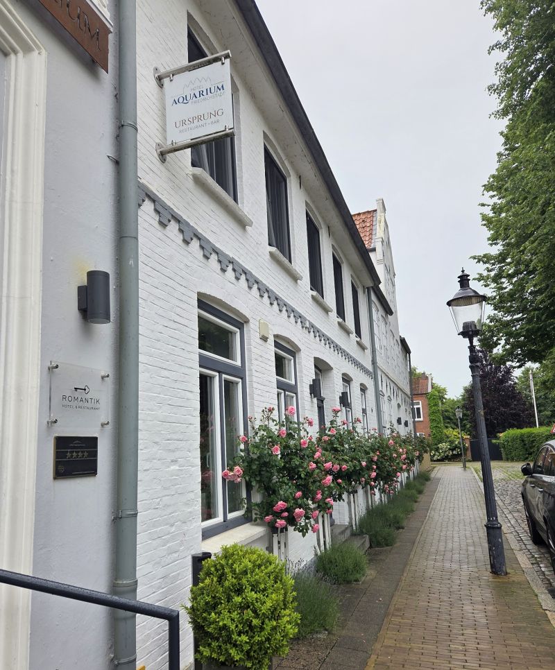 Bildersammlung T&ouml;nning 2025 - unsortiert und nicht kommentiert