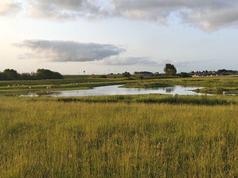 Bildersammlung T&ouml;nning 2025 - unsortiert und nicht kommentiert