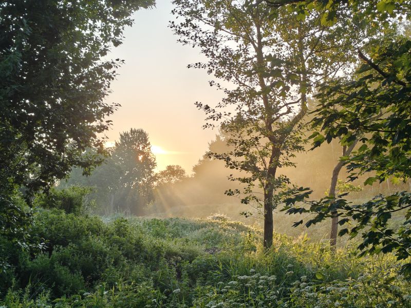 Bildersammlung T&ouml;nning 2025 - unsortiert und nicht kommentiert