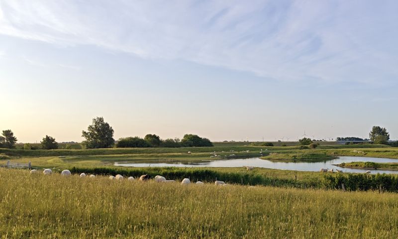 Bildersammlung T&ouml;nning 2025 - unsortiert und nicht kommentiert